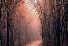 问鼎体育：2023至2024国际滑联速度滑冰世界杯北京站比赛将在“冰丝带”开赛央视新闻客户端.