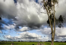 11年罗斯拿MVP含金量有多高?看看别人就知道了,老詹26+7+7仅第3.