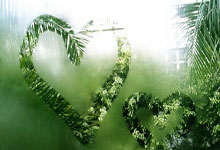 问鼎体育：10分11助攻 赵继伟超越郭艾伦加冕本土助攻王.