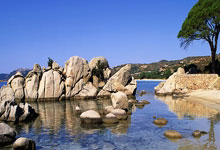 问鼎体育：2025年中国协杯资格赛将于今年12月举行.